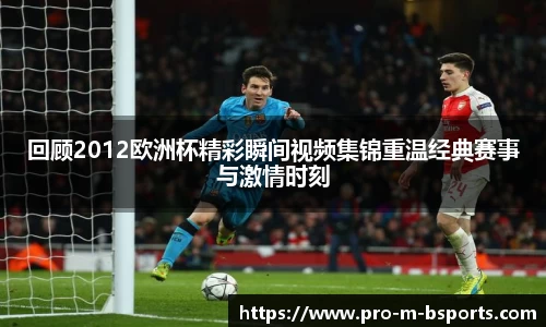 回顾2012欧洲杯精彩瞬间视频集锦重温经典赛事与激情时刻